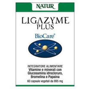 ligazyme plus 60 capsule vegetali bugiardino cod: 906859451 