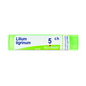 lilium tigrinum 5ch 80gr 4g bugiardino cod: 047563046 