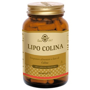 lipo colina 100 capsule vegetali bugiardino cod: 930380732 