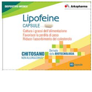 lipofeine 60 capsule bugiardino cod: 922930045 