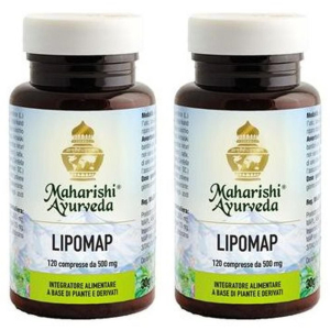 Cerca Offerte di lipomap 120 compresse 2x120 pz e acquista online
