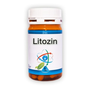 litozin 60 capsule bugiardino cod: 979921210 