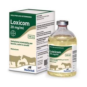 loxicom*iniet fl 100ml 20mg/ml bugiardino cod: 104059124 