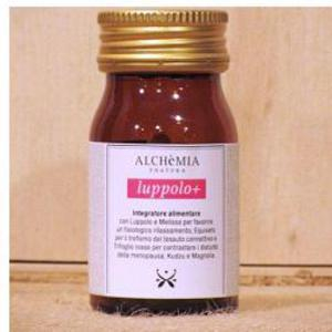 alchemia luppolo+ 30 capsule bugiardino cod: 924959036 