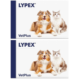 Cerca Offerte di lypex 60 capsule set da 2 2x60 pz e acquista online