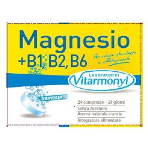 magnesio 100% 24 compresse bugiardino cod: 905855363 