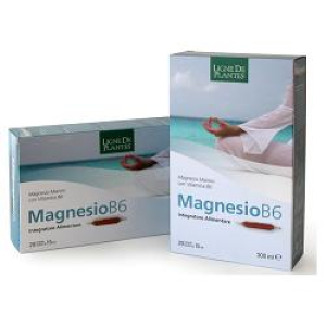 magnesio b6 - integratore di vitamine e bugiardino cod: 931047854 