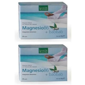 Cerca Offerte di magnesio b6 + baobab 60 capsule 2x60 pz e acquista online