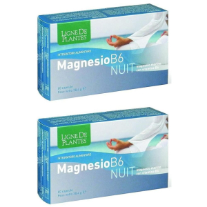 Cerca Offerte di magnesio b6 nuit capsule 2x60 pz e acquista online