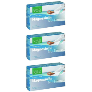 Cerca Offerte di magnesio b6 nuit capsule 3x60 pz e acquista online