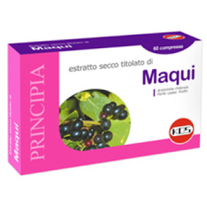 maqui estratto secco 100g bugiardino cod: 973291952 