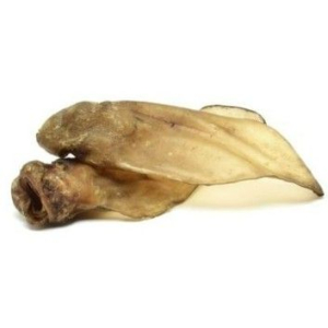 Cerca Offerte di mast orazio butcher cane snack orecchie di manzo 60g e acquista online