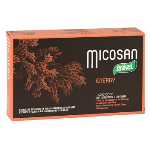 micosan energy 40 capsule 19 g bugiardino cod: 970257352 
