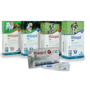 midaspot spoton 4 pipette 250mg bugiardino cod: 104576196 