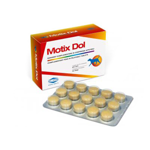 motix dol 60 compresse 48g bugiardino cod: 972778132 