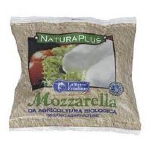 mozzarella 100g bugiardino cod: 913220202 