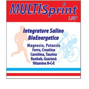 multisprint lnp 20 bustine bugiardino cod: 937450132 