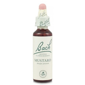 mustard bach orig 20ml bugiardino cod: 942859327 