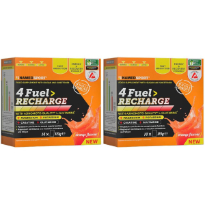 Cerca Offerte di namedsport® 4fuel> recharge set da 2 2x119 g polvere per soluzione ora e acquista online