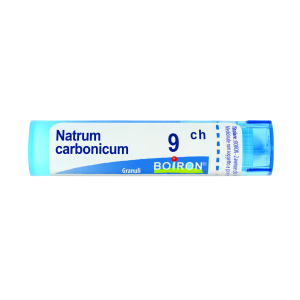 natrum carbonicum 9ch 80gr 4g bugiardino cod: 046706089 