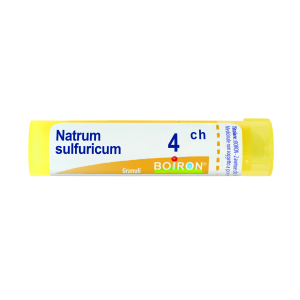 natrum sulfuricum 4ch 80gr 4g bugiardino cod: 046625618 