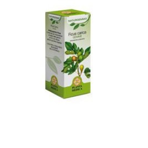 naturgemmo ficus carica mg50ml bugiardino cod: 909790127 