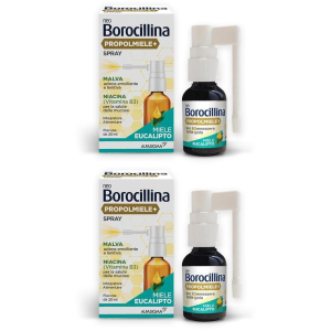 Cerca Offerte di neo borocillina prpolmiele+ spray 2x20 ml orale e acquista online