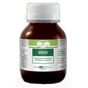 nidiur 60 capsule bugiardino cod: 907306245 