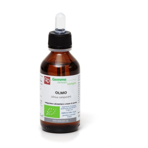 Cerca Offerte di olmo macerato glicerinato bio 100 ml e acquista online
