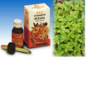 origano olio essenziale puro 10ml bugiardino cod: 909382766 