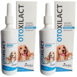 Cerca Offerte di otoxilact detergente auricolare 2x1 st e acquista online