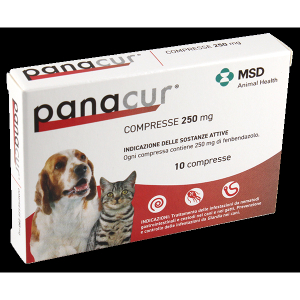 Cerca Offerte di panacur*10cpr 250mg cani gatti 105933016 e acquista online