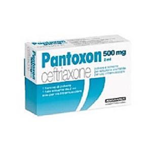 pantoxon intramuscolo 500mg+f 2ml bugiardino cod: 035952011 