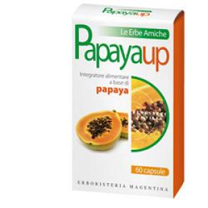 papayaup 60 capsule bugiardino cod: 920575952 