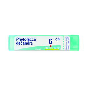phytolacca decandra 6ch 80gr bugiardino cod: 045879057 