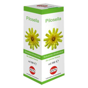 pilosella sol ial pianta fr100 bugiardino cod: 904559453 