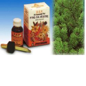 pino silv olio essenziale puro 10ml bugiardino cod: 909382778 