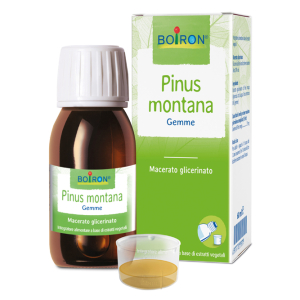 pinus montana mg 60ml intensivo bugiardino cod: 977709979 