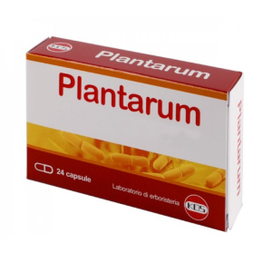 plantarum 10 miliardi 24 capsule bugiardino cod: 982544645 