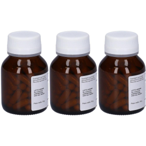 Cerca Offerte di Pleurotus Micoimmuno 60 Capsule 3x60 Pezzi Capsule e acquista online