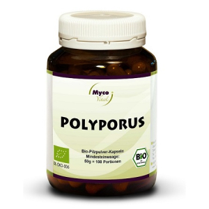polyporus 60 capsule bugiardino cod: 971400433 
