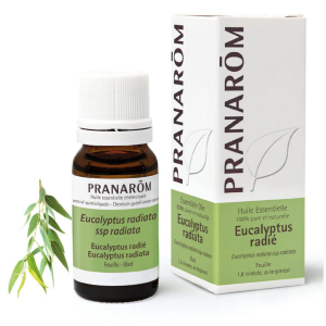Cerca Offerte di pranarÔm eucalyptus radiata 10 ml olio essenziale e acquista online