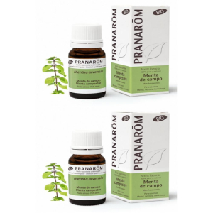 Cerca Offerte di pranarom olio essenziale menta campestre parti aeree 2x10 ml soluzione e acquista online
