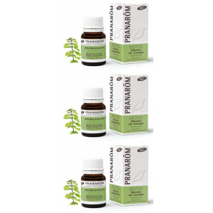 Cerca Offerte di pranarom olio essenziale menta campestre parti aeree 3x10 ml soluzione e acquista online