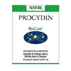 procydin 90 capsule veg 604mg bugiardino cod: 907187621 