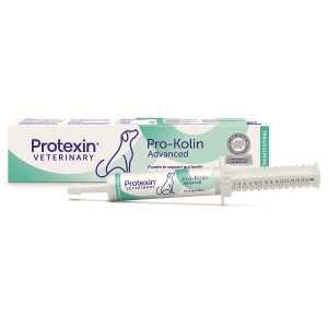 Prokolin advanced dog integratore benessere intestinale cane 30ml