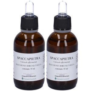 Cerca Offerte di Promopharma® spaccapietra 2x50 ml soluzione e acquista online