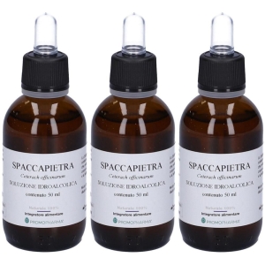 Cerca Offerte di Promopharma® spaccapietra 3x50 ml soluzione e acquista online