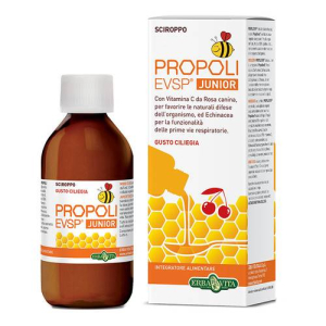 propoli evsp fluido j cil100ml bugiardino cod: 931042079 