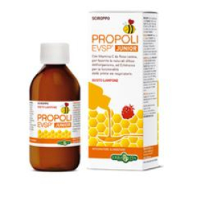 propoli evsp fluido j lam100ml bugiardino cod: 938915129 